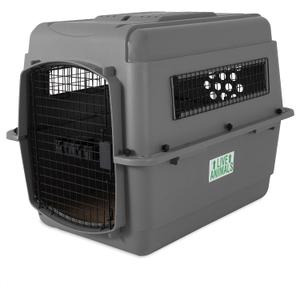 Petmate Sky Kennel - For Air and Travel, Airline Compliant Dog Crate for Pets 30-50 lbs, Heavy Duty Dog Kennel, Made in the USA- 32 Inches