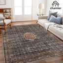 chamler Washable Area Rug 9x12 Boho Chic Medallion Distressed Design Non-Shedding Easy Care Ideal for High Traffic Areas in Rug for Living Room Bedroom Office Coffee Table Large Carpet