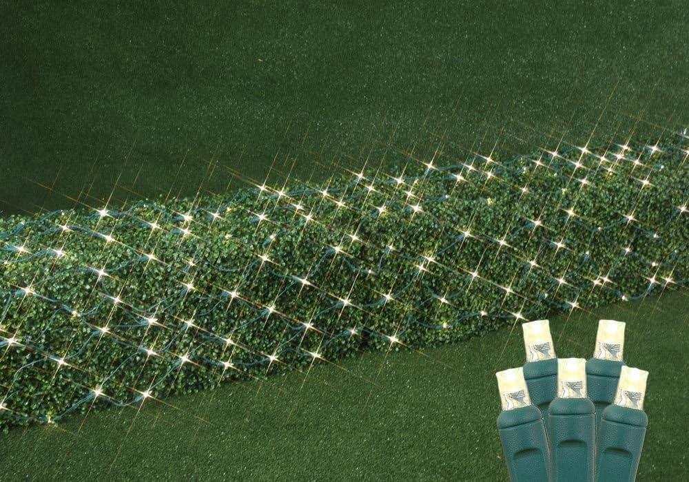 Novelty Lights 2x10 Net Lights, 100 Warm White LEDs with 4 Inch Spacing, 5mm Wide Angle Bulbs on Green Wire, Connectable End to End, Outdoor Weather Resistant Pillar and Tree Trunk Lighting