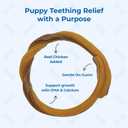 N-Bone Puppy Teething Rings Taste of Texas Pulled Pork Flavor 3 Count