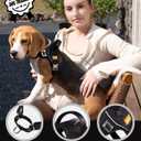 DF No Pull Step-in Martingale Dog Harness, Help Stop Pulling & Choking, Reflective & Adjustable, Front Clip Harness with Lift Handle, Tactical Silent Metal Buckle, Black, 3/4", Front Chest 13.2"-16.0"