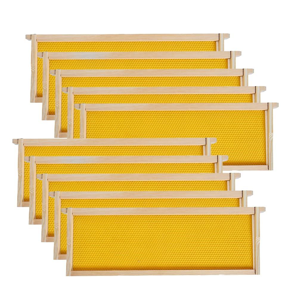 Medium Super Beehive Frames with Wax Foundations, 10 Pack Honey Bee Frames with 100% Beeswax Coated Food Grade Foundation Sheets, 6-1/4-Inch (Yellow) (1 Fl Oz (Pack of 1), Yellow Foundatiom)