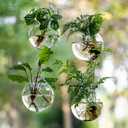 4 x Window Propagation Stations, Oblate Glass Terrariums Planter with Suction Cup Hook, Wall Hanging Planters for Hydroponics Plants, Home, Office, Bathroom, Living Room Decor, Gift for Plant Lovers (4)