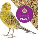 Canary Plus 5 Lbs, Premium Mixed Birdseed, Canary Bird Food with Essential Vitamins and Minerals, Healthy Balanced Nutrition, Supports Daily Energy & Growth, Bird Seed for Pet Birds