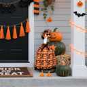 SelfTek Goose Outfit for 23" Cement Lawn Porch Goose - Goose Costume for 23" Lawn Goose Statue with Sunglasses, Porch Goose Clothes for Yard Lawn Garden Decor