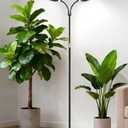 Grow Lights for Indoor Plants, 2-Head Full Spectrum LED Plant Light with Stand, 67" Adjustable Height, 3/9/12H Timer, 10 Dimmable Levels & 3 Lighting Modes