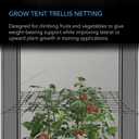 AC Infinity Grow Tent Trellis Netting 5x5', Heavy-Duty Elastic Plant Net with Steel Hooks, Flexible Hydroponics Support for Grow Tents, Gardening, and Horticulture