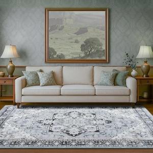 RUGICI Area Rugs 8x10,Washable Area Rug for Living Room,Low Pile Rug,Non-Slip Non-Shedding Bedroom Rug,Indoor Modern Carpet for Bedroom Kitchen Dining Room Home Décor (Cyan, 8x10)