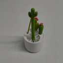 Boon Cacti Bottle Cleaning Brush Set - Includes Bottle Brush, Nipple Brush, Detail Brush, and Straw Brush - Baby Bottle Brush Set for Bottle Drying Rack - Baby Essentials - 4 Count