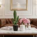 Artificial Cactus Fake Cacti 16" Faux Potted Cactus Plants for Home Store Office Decoration