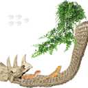 Tfwadmx Large Reptile Dinosaur Skull Decor, Bearded Dragon Tank Accessories, Lizard Hammock Hanging Plant Decor, Tank Decor for Bearded Dragons, Lizards, Chameleons, Geckos, Snakes(3Pcs)