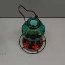 Glass Hummingbird Feeder for Outdoors Hanging, 25Oz Humming Bird Nectar Feeder, Perch, 5 Flower Feeding Ports, Leak Proof Base, Hook for Outside Garden Backyard, Gift for Women, Diamond Green