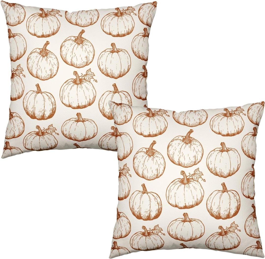 Fall Pumpkin Outdoor Pillow Covers 18x18 Set of 2 Autumn Thanksgiving Harvest Throw Pillows Case Burnt Orange White Farmhouse Fall Holiday Cushion Covers for Sofa Couch Bed Decor