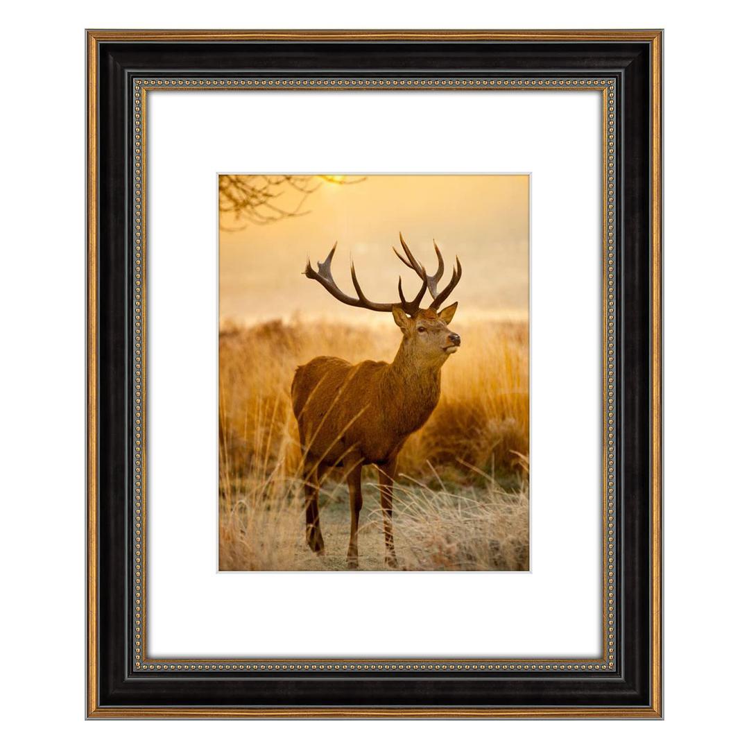 AUEAR,16x20 Picture Frame for 11x14 Photo With Mat or 16x20 Prints Without Mat,Vintage Style,Wall Mounting (Black and Ornate Gold), Pack of 2