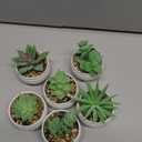 Der Rose Set of 6 Succulents Plants Artificial in Pots Small Fake Plants for Bedroom Aesthetic Living Room Shelf Bathroom Decor Office Desk Accessories
