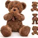 Suepcuddly 20" Posed Teddy Bear Stuffed Animal Cute Plush Toy for Girl Kids (Dark Brown)