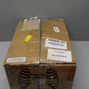 Houseables Disarticulated Human Skeleton, Human Skeleton Model for Anatomy, Anatomy Model, Anatomically Correct, Physiology Bones, Skeletal System, Full Life Size, Anatomical, Study, Class, 62 Height