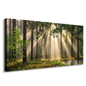 Bruarteli Forest Scenery Canvas Wall Art 40"x20"