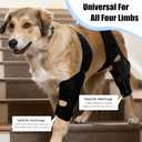 Dog Knee Brace for Torn ACL/CCL & Hind Leg Support - Adjustable Brace for Arthritis Relief, Joint Stability & Injury Recovery - Fits Small & Medium Dogs