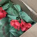 Briful Artificial Hanging Basket for Outdoor, Red Geraniums Fake Hanging Flowers Realistic Silk Flowers & Greenery Faux Hanging Baskets for Indoor Patio Balcony Ceiling