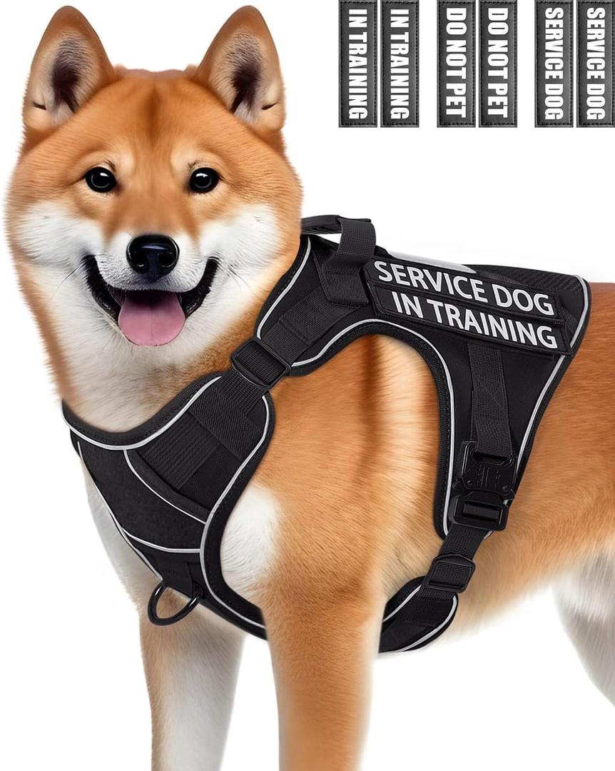 Service Dog Vest for Medium Dogs, Service Dog in Training Harness with Patches, Full Metal Buckles Adjustable Dog Vest for Training Walking