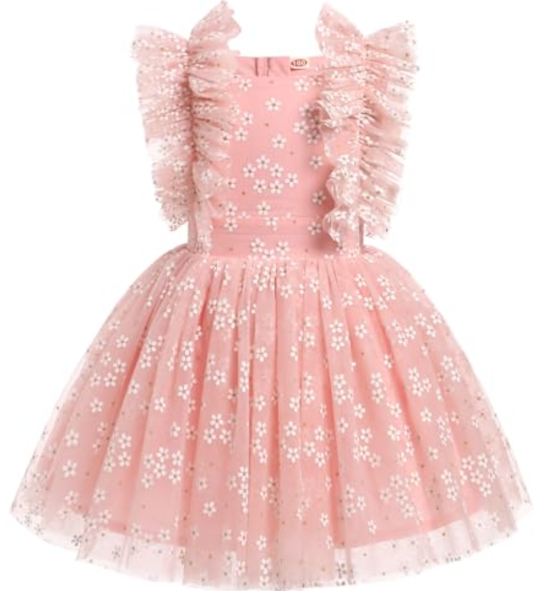 Toddler Wedding Dress, Baby Girl Dress, Dress for Baby Girl, Toddler Birthday Dress Infant Ruffled Embroidered Special Occasion Graduation Sundress for Baptism Bridesmaid Pink Daisy 5-6 Years