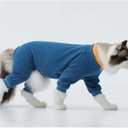 Cat Hair Sticky Onesie, Prevent Hair Loss Cat Pajamas, Long Sleeves Anti-Licking & Skin Disease Recovery Suit for Cats, Sphynx Clothes Costumes Outfits for Pet, XS