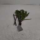 Hairui Lighted Norfolk Pine Branches Battery Operated with Timer, Tree Branch Lights 32IN 60 LED Fairy Lights for Home Bedroom Fireplace Thanksgiving Christmas Decor (Vase Excluded)