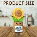 3 x Retirement Gift for Woman  Handmade Mini Sunflower Crochet with Retired 2025 Not My Problem Anymore Card  Cute Funny Retirement Decoration for Women, Teachers, Coworkers, Nurses