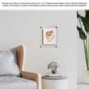 Wall Sign Holder Floating Clear Acrylic Wall Frame Holds 8.5 x 11 with Silver Standoffs Overall Dimensions 11.5" x 14" Peel Protective Film Art Gallery Lobby Directory Office by Marketing Holders