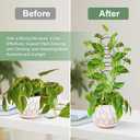 17.5 Inch Plant Trellis Indoor for Climbing Plants,Metal Trellis,Small Garden Trellis for Potted Plants,Plant Stakes for Indoor Plants Accessories Hoya,Flower,Plant Support,Plant Gifts(Circular-Metal)