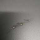 HUION Drawing Tablet HS610 Graphic Tablet with Battery-Free Stylus 8192 Pen Pressure Tilt Function, 10x6.25 Inches Digital Art for Animation & Design, Compatible with Windows/Mac/Android