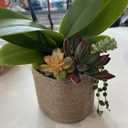 2 x Jute Burlap Webbing Ribbon - 3.15" x 9.83 Yards Upholstery Webbing for Chairs, Furniture, Crafting, Home Decor, Christmas Garland, Jute Wreath, Banner