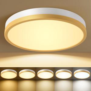 White Gold Flush Mount Ceiling Light 12 Inch LED Dimmable 24W 5CCT(2700K-5000K) Kitchen Hallway Bedroom Entryway Closet Ceiling Light