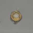 Fire Hydrant Hose Adapter,Fire Hose Adapter 2-1/2" NST/NH Female x 2" NPT Male, Brass Fire Hydrant Hose Adapter with Pin Lug Fit for Fire Hydrants, Hoses, Pipes