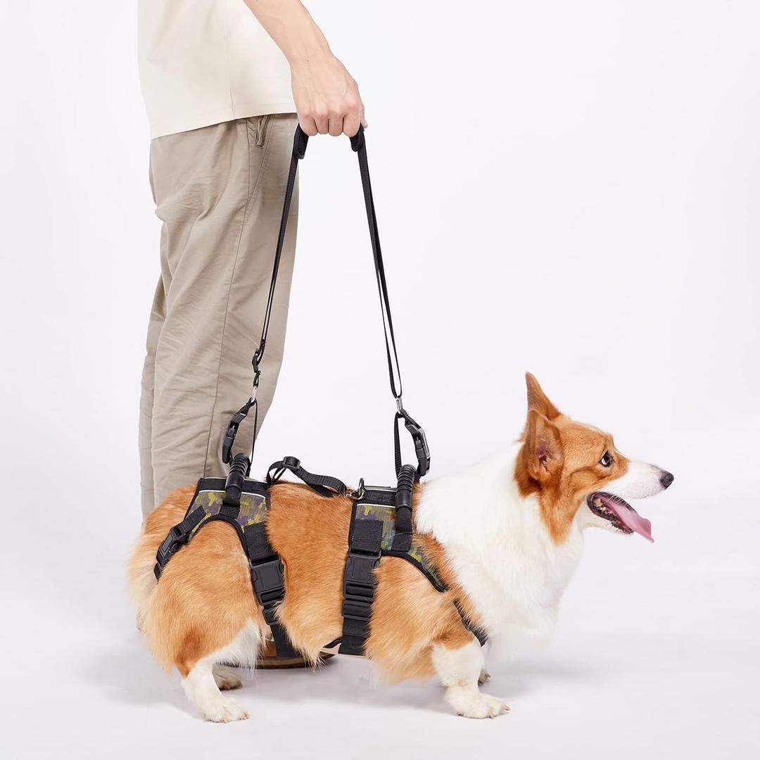 Coodeo Dog Lift Harness, Full Body Support & Recovery Sling, Pet Rear Leg Support Rehabilitation Lifts Vest, Dog Carrier for Senior Dogs with Joint Injuries, Arthritis, Paralysis Up Stairs (Large)