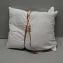 MIULEE Throw Pillow Insert Premium Pillow Stuffer Sham Rectangle for Decorative Cushion Bed Couch Sofa 16x20 Inch