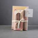 4 x DIVERSEBEE Black Ink Ballpoint Pens, 3 Pack Retractable No Bleed Bible Pens, Cute Aesthetic Pastel Pens for Teachers, Bible Study Journaling Supplies, School Office Gifts Accessories, 1.0mm (Blush)