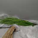 Tigeen 12 Pcs 33 Inch Artificial Grass Plants, Faux Shrubs Wheat Grass, Tall Fake Plants for Outdoor Decor, Artificial Greenery Stems Weed for Room Indoor Home Vase Decor (Green)