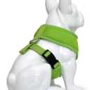 EcoBark Dog Harness - Eco-Friendly Max Comfort Harnesses - Luxurious Soft Mesh Halter - Over the Head Harness Vest- No Pull and No Choke for Puppy, Toy Breeds & Small Dogs (Medium, Green)