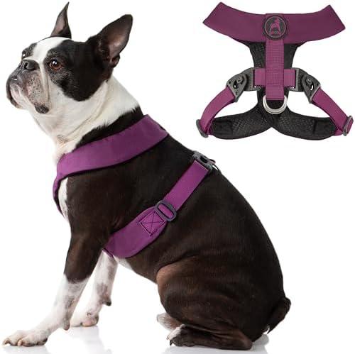 Gooby Comfort X Harness - Dual Snap, Purple, Medium - No Pull Small Dog Harness with Rotational Buckles and Patented Choke-Free X Frame, Medium