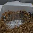 2 Gallon Glass Beverage Dispenser with Stand and Lid, 18/8 Stainless Steel Spigot - Glass Drink Dispensers for Parties - Mason Jar Drink Dispensers with Lids