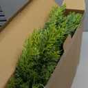 9FT Real Touch Norfolk Christmas Pine Garland, Lifelike Artificial Bendable Greenery Garland for Front Door, Mantle, Staircase, Windowsill Indoor Outdoor Christmas Decorations