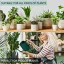 Watering Can Indoor Plants, 35oz Small Stainless Steel Metal Watering Can Modern Decorative Watering Pot with Long Spout for Indoor House Plant Bonsai Garden Flowers (Saga Green 1)