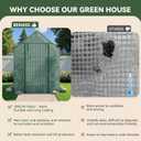 Greenhouse for Outdoors, Small Greenhouse, Walk-in Greenhouses with 3 Tiers 4 Shelves, PE Cover, Heavy Duty Plant Greenhouses for Garden and Backyard