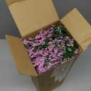 Zeyune 12 Pcs Faux Dusty Plum Berry Stem for Outdoor Artificial Purple Sedum Berry Pick 14 Inch Fake Realistic Flower Branches Decor for DIY Farmhouse Garden Patio Yard Wedding Home Arrangement