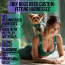 EcoBark Dog Harness - Teacup Dog Harnesses for XXXS, XXS, XS, and Small Dogs - Step in Soft Mini Body Halter - Puppy Harness- Toy Breed Dog Harness Vest Under 5 pounds lbs (XXXS, Forest Green)