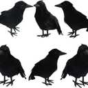 FUNPENY Halloween Black Feathered Crows, Lifelik Halloween Decoration Birds with Real Feather (6 Pack)