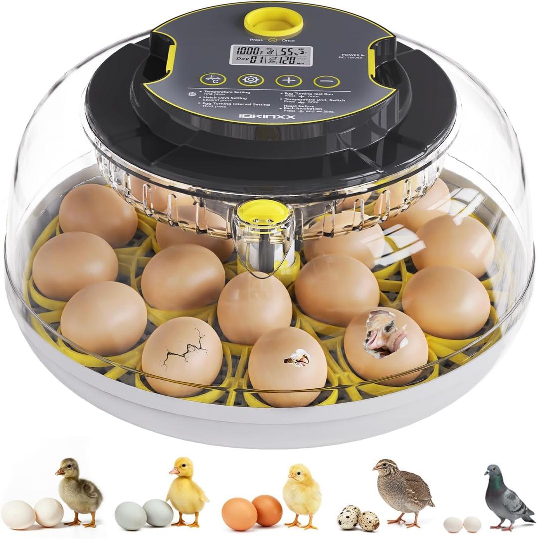 Incubator for Hatching Eggs-18 Egg Capacity, Automatic Egg Turner, Temperature & Humidity Control, 360 Viewing for Chicken, Duck and Quail Eggs