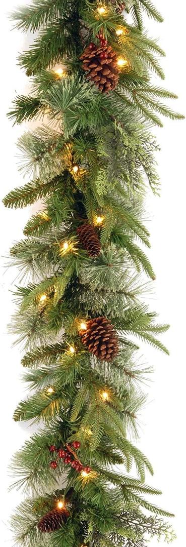 National Tree Company 9 ft Pre-Lit Colonial Fir Artificial Christmas Garland, Christmas Decoration with Red Berries, Pinecones, 50 Clear Lights, 180 Tips, Green